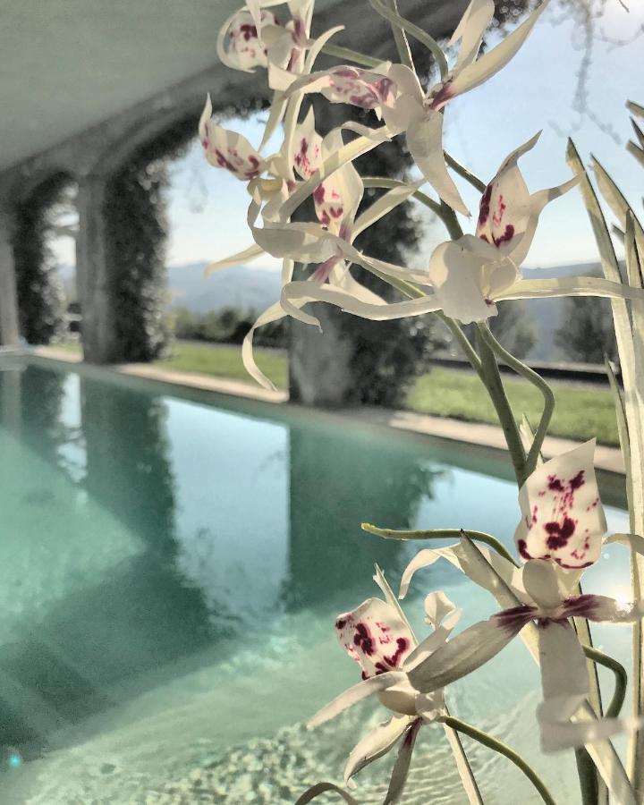 Il Sassoscritto Bed And Breakfast Montecalvo Versiggia Exterior photo